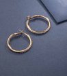 Classy Hoop Earring (Brass) Online Hot Sale