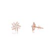 Diamond Desert Dream Earrings on Sale