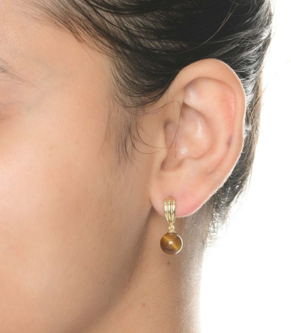 Brown Drop Earrings (Brass) Hot on Sale