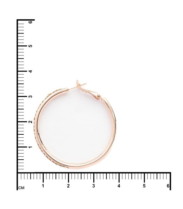 Classic Hoop Earrings (Brass) on Sale