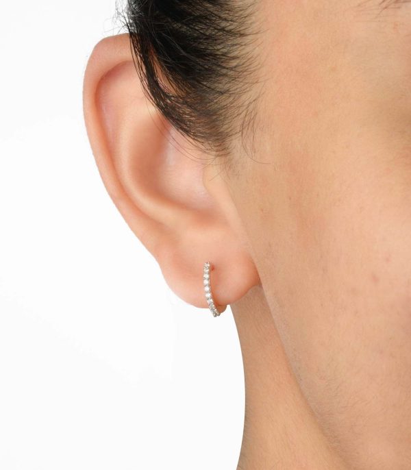 Diamond Charming Trail Earrings Supply