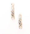 Shiny Brass Plate Of The Sparkling Stones Earrings (Brass) Supply