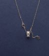 Dangling charm Necklace (Silver) Hot on Sale