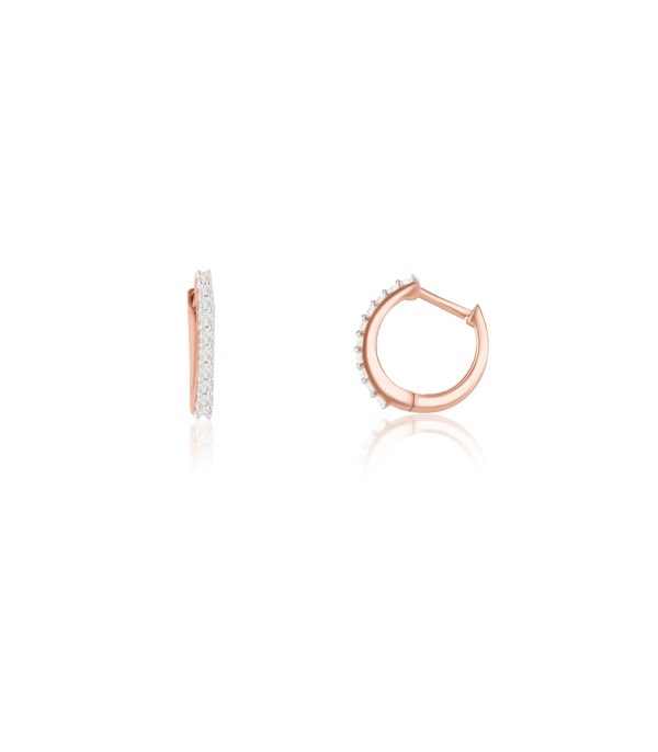 Diamond Charming Trail Earrings Supply