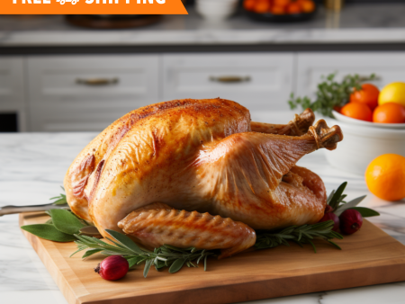 Halal Hand Slaughtered Whole Turkey 10-16lbs | Feeds 13-16 Guests | Sale