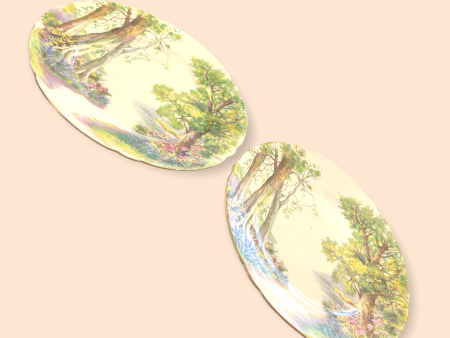 Shelley  Woodland  13348 8 Inch Luncheon Plate Nature Fine Bone China England For Sale