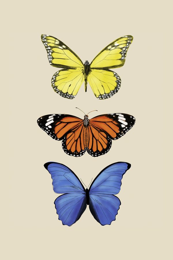 Butterflies Print Cheap