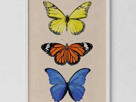 Butterflies Print Cheap